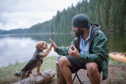 tips for taking your dog on a camping trip